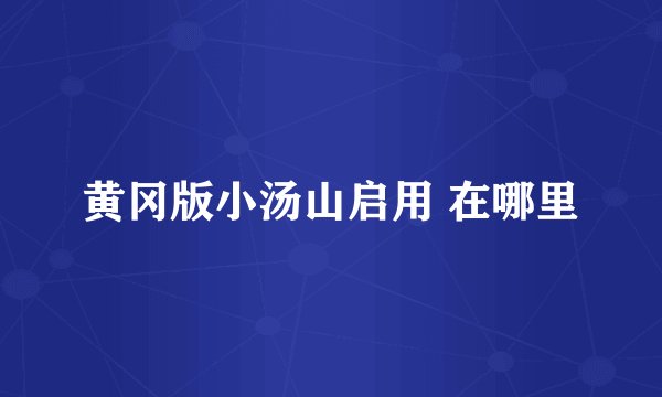 黄冈版小汤山启用 在哪里