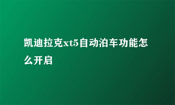 凯迪拉克xt5自动泊车功能怎么开启