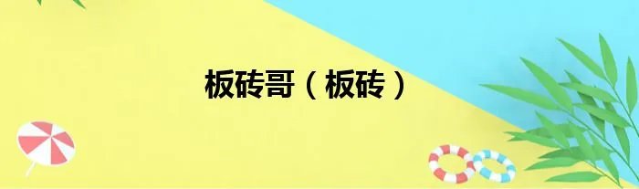 板砖哥（板砖）