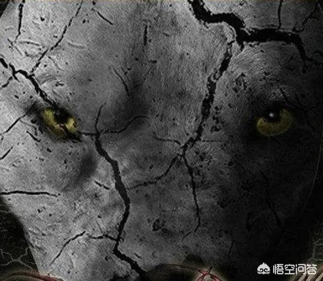 比特犬和土佐犬，谁更厉害？