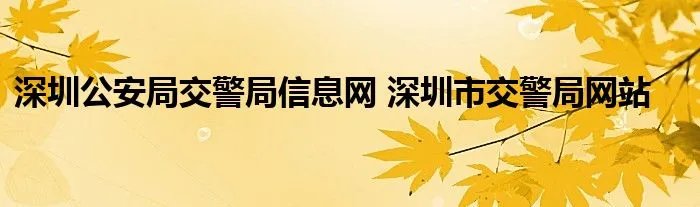 深圳公安局交警局信息网 深圳市交警局网站