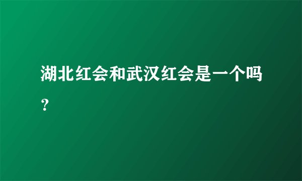 湖北红会和武汉红会是一个吗？