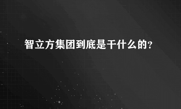 智立方集团到底是干什么的？