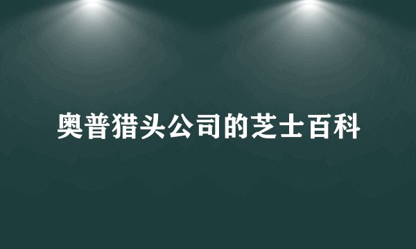 奥普猎头公司的芝士百科