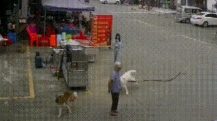 女孩回应遛狗绊死老人后逃离，她都说了什么？