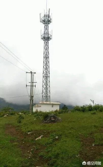 手机的4g网络不稳定,移动和联通都是这个情况,应该怎么办?