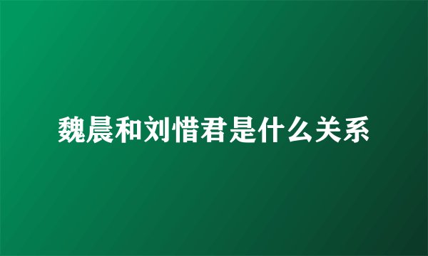 魏晨和刘惜君是什么关系