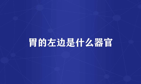 胃的左边是什么器官