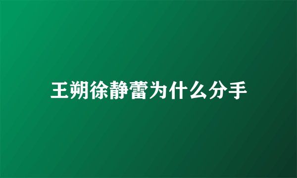 王朔徐静蕾为什么分手