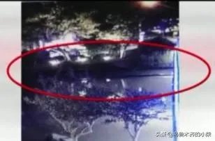 天镜湖大蛇究竟是谁先发现的?
