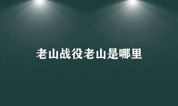 老山战役老山是哪里