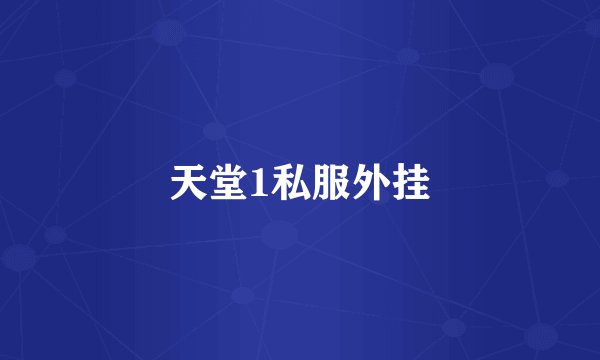 天堂1私服外挂