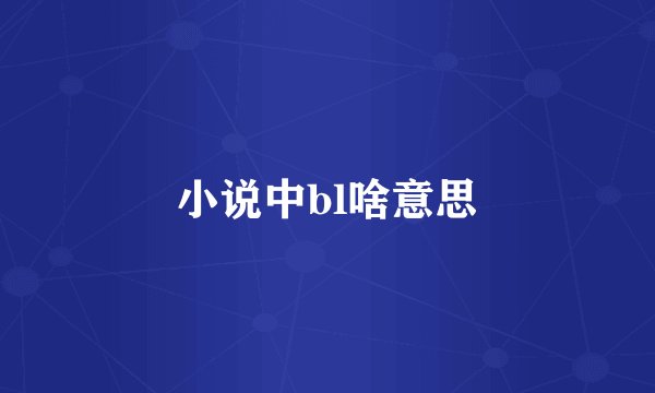 小说中bl啥意思