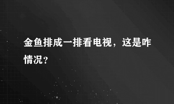 金鱼排成一排看电视，这是咋情况？