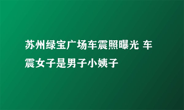 苏州绿宝广场车震照曝光 车震女子是男子小姨子