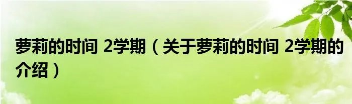 萝莉的时间 2学期（关于萝莉的时间 2学期的介绍）