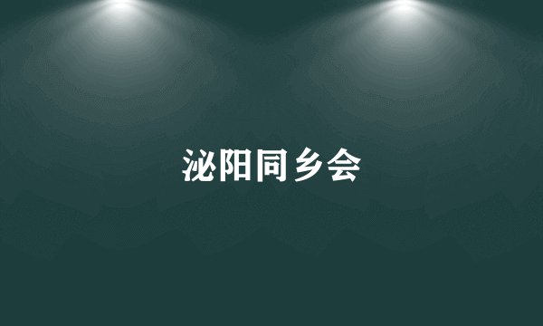 泌阳同乡会