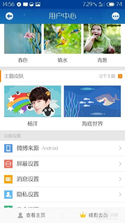 微博皮肤