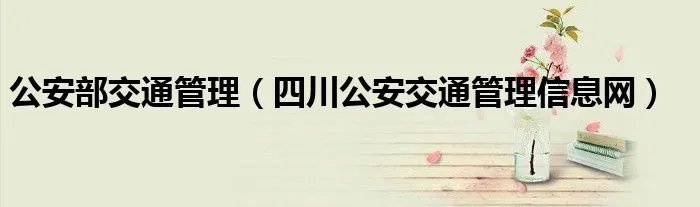 公安部交通管理（四川公安交通管理信息网）