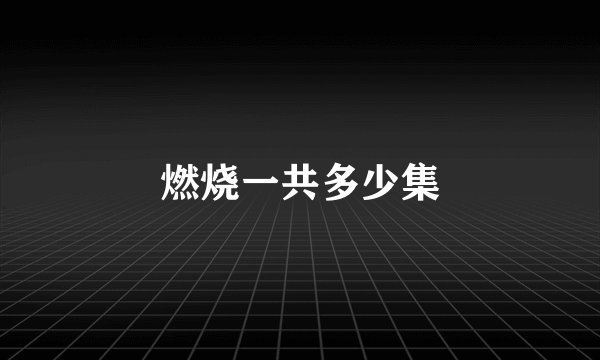 燃烧一共多少集
