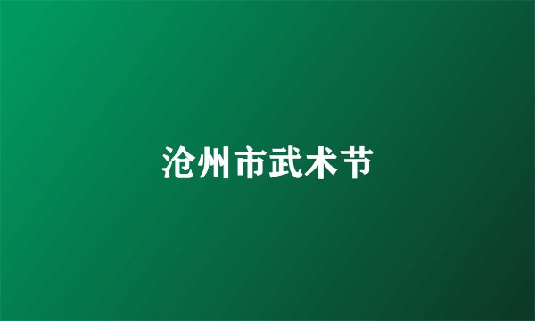 沧州市武术节