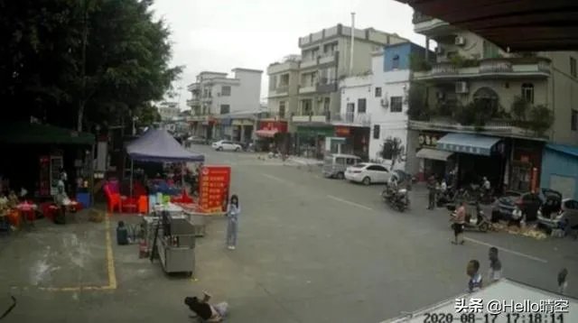 牵狗少女回应“逃跑”:不知道是狗绳绊倒了老人,她的话可信吗?