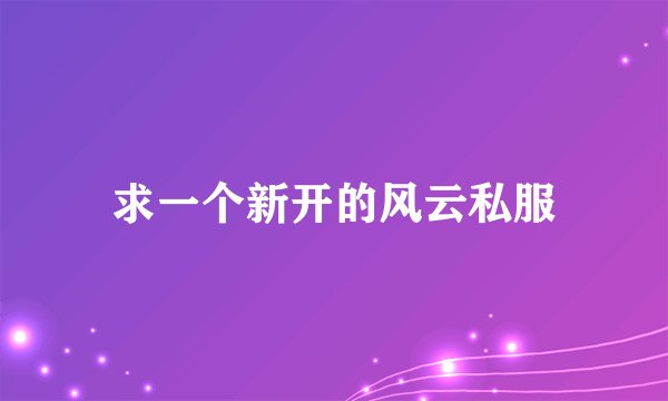 求一个新开的风云私服