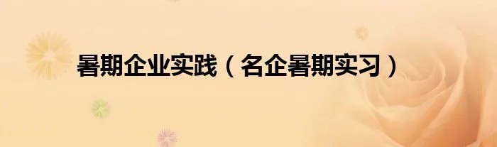 暑期企业实践（名企暑期实习）