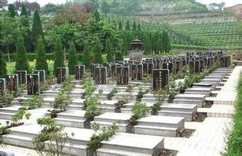 建议全面取消经营性公墓,这样做有什么好处?