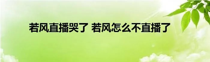 若风直播哭了 若风怎么不直播了