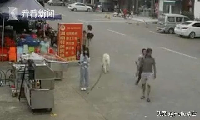 牵狗少女回应“逃跑”:不知道是狗绳绊倒了老人,她的话可信吗?