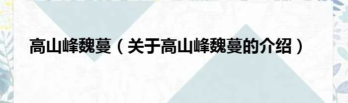高山峰魏蔓（关于高山峰魏蔓的介绍）