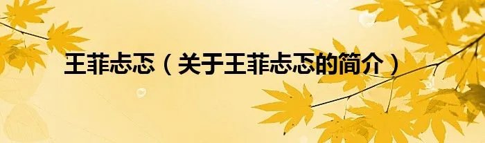 王菲忐忑（关于王菲忐忑的简介）