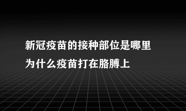 新冠疫苗的接种部位是哪里 为什么疫苗打在胳膊上