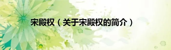宋殿权（关于宋殿权的简介）