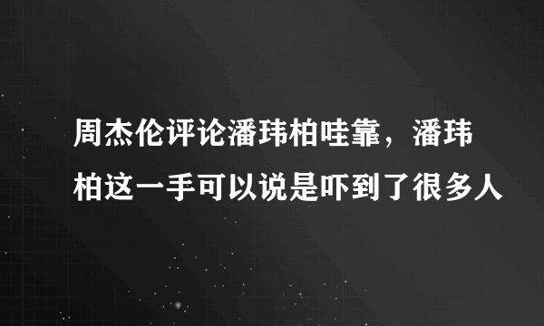 周杰伦评论潘玮柏哇靠，潘玮柏这一手可以说是吓到了很多人