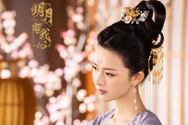 如何评价古装剧《明月照我心》