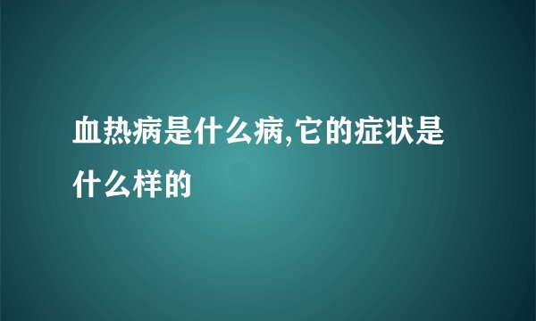 血热病是什么病,它的症状是什么样的