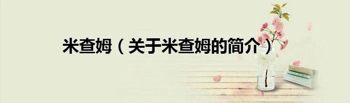 米查姆（关于米查姆的简介）