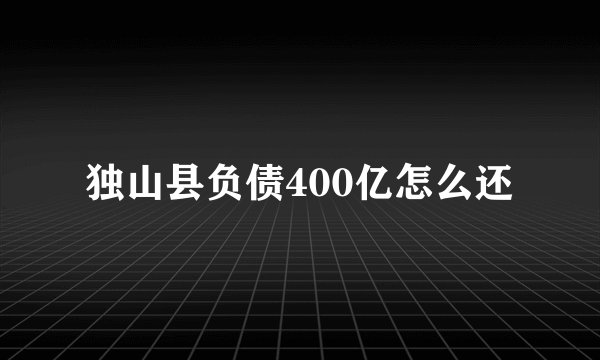 独山县负债400亿怎么还