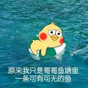 海王是什么意思