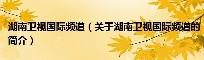 湖南卫视国际频道（关于湖南卫视国际频道的简介）
