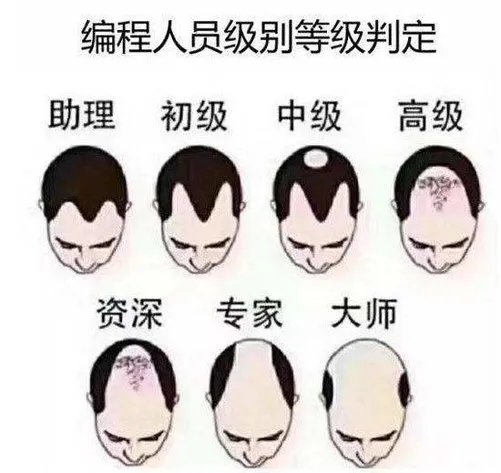 北京动物园网红大熊猫突然头秃 网友:难道它也写代码?