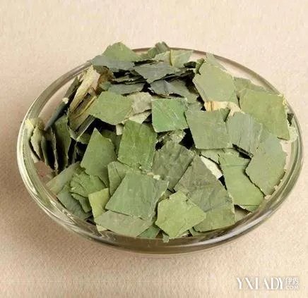柳岩回京略显发福中医药材减肥燃脂快