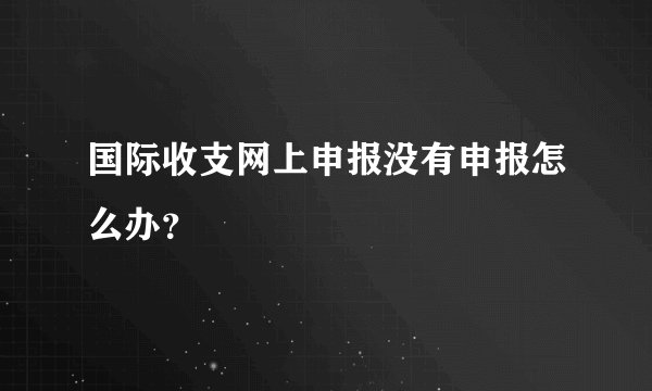 国际收支网上申报没有申报怎么办？