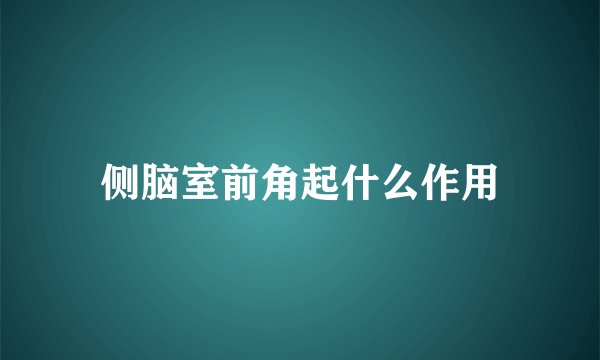 侧脑室前角起什么作用