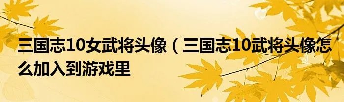 三国志10女武将头像（三国志10武将头像怎么加入到游戏里