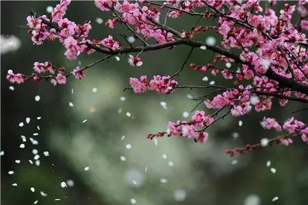 忆江南这首词是唐代诗人白居易的作品描绘了什么季节什么地方的美好风光？
