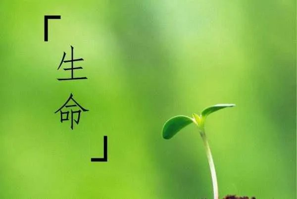 保姆遭训斥后连扇男婴5个耳光，其做法是否构成犯罪？