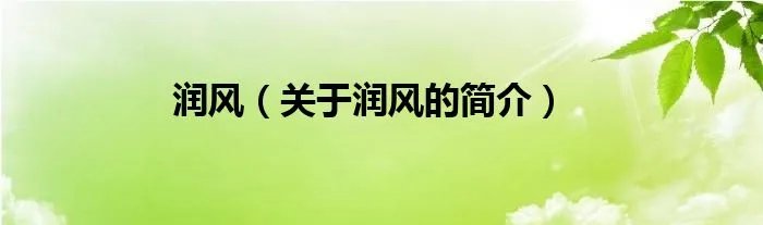 润风（关于润风的简介）